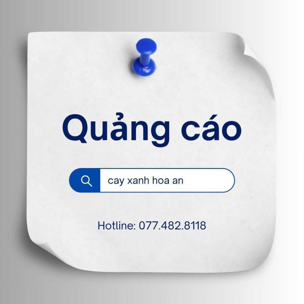 Dịch vụ cây xanh Hòa An