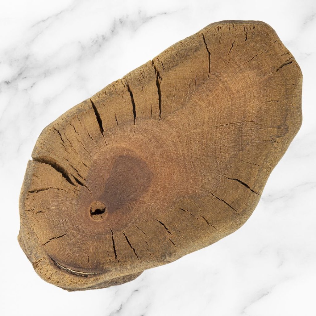 Vân gỗ đước đôi